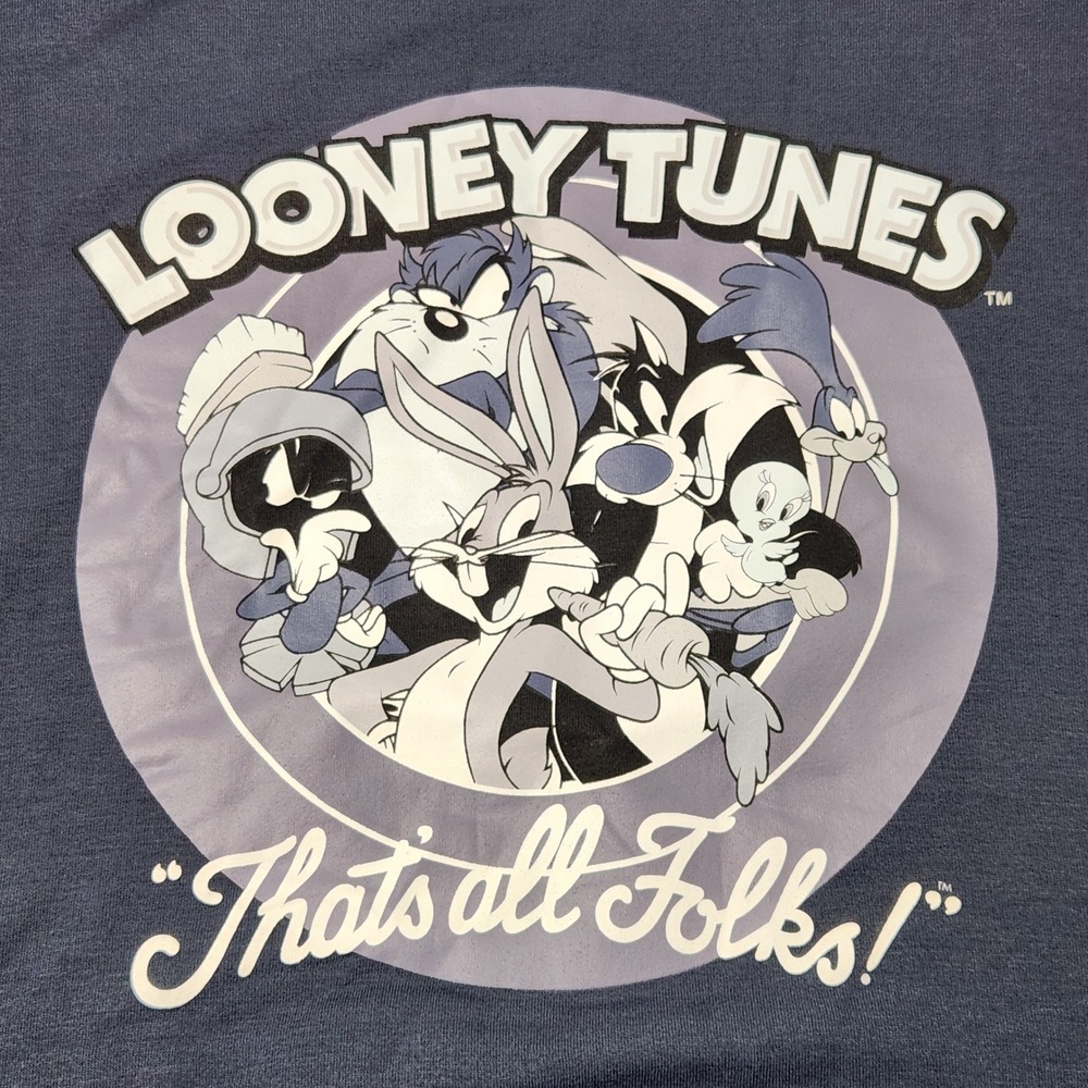 Looney Tunes Sweatshirt Womens 2X Blue Thats All‎ Folks Graphic Pullover - Picture 2 of 9
